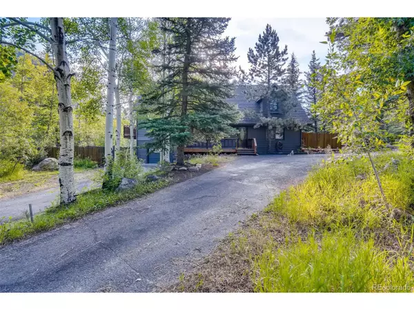 137 Silver Load Cir, Dumont, CO 80436