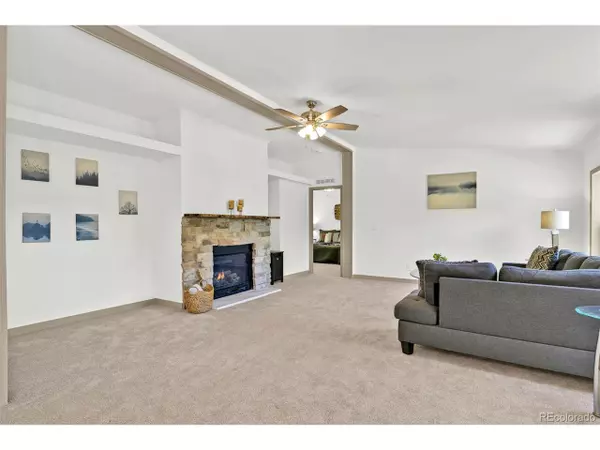 Woodland Park, CO 80863,451 Fern Rd