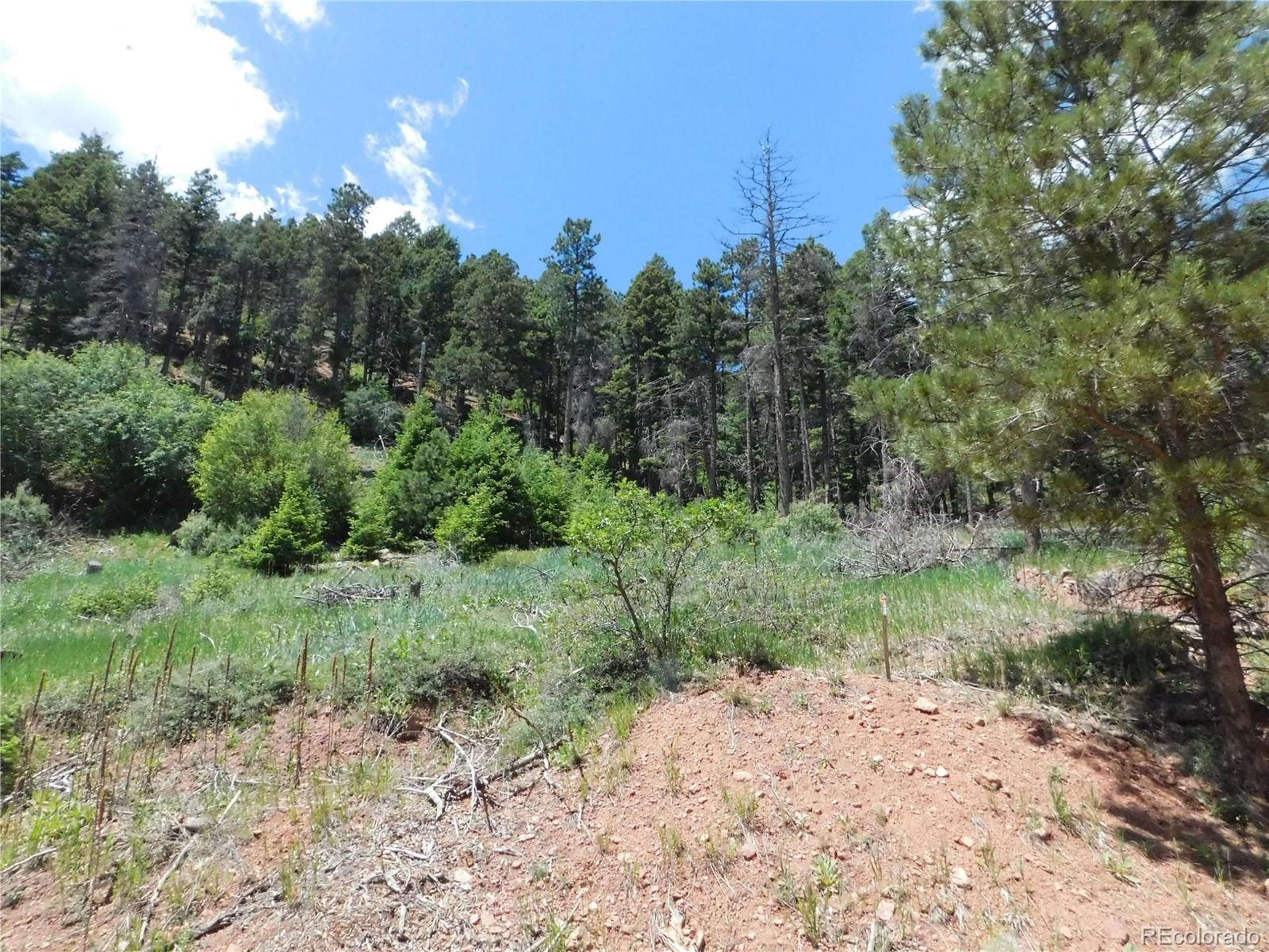 Larkspur, CO 80118,13520 Woodmoor West Dr