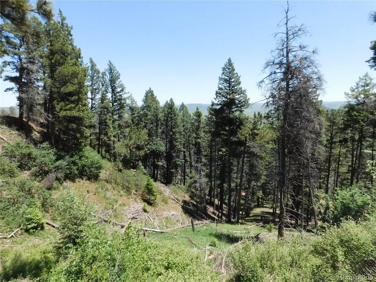 Larkspur, CO 80118,13520 Woodmoor West Dr