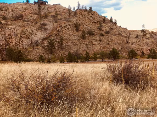 Livermore, CO 80536,10 Many Thunder Mountain Dr