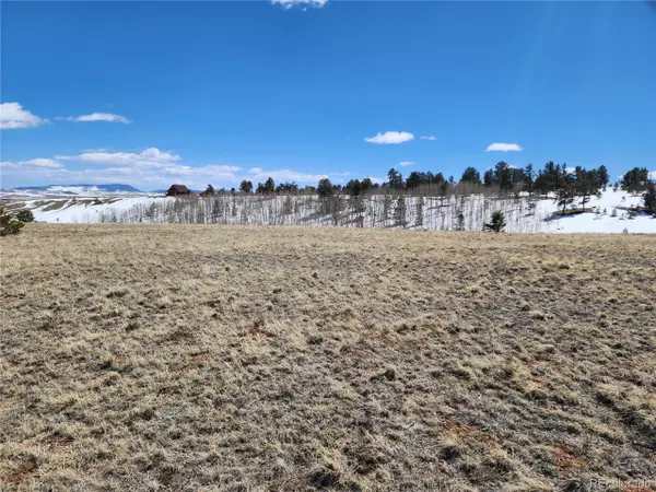 Hartsel, CO 80449,244 Brahma Cir