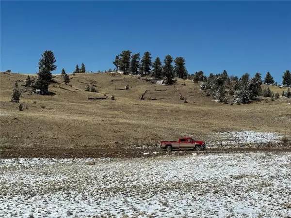 Hartsel, CO 80449,1 Dog Chief Trl