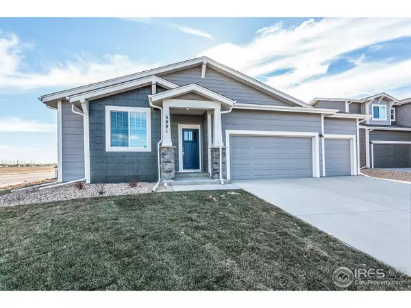 3981 River Birch St, Wellington, CO 80549