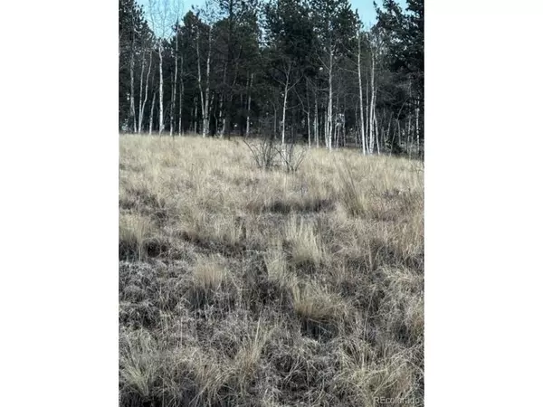 200 Beaver Pond Rd, Divide, CO 80814