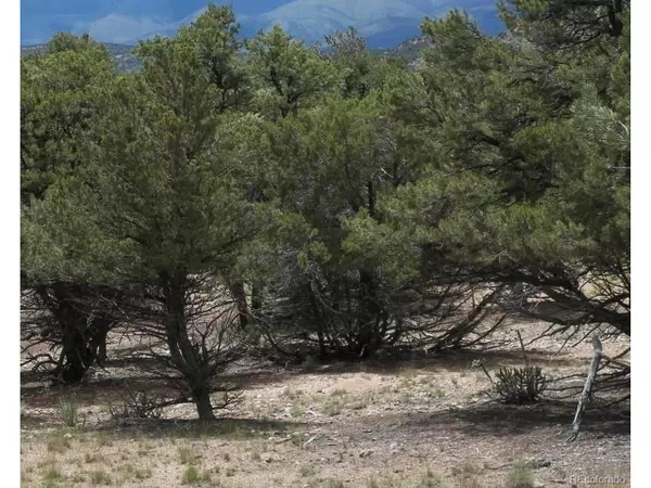 Dolores, CO 81323,19251 Road 24 2