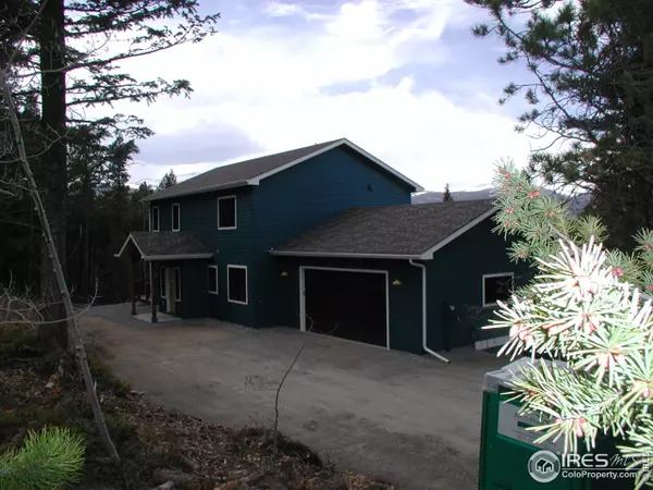76 Blue Spruce Dr, Nederland, CO 80466