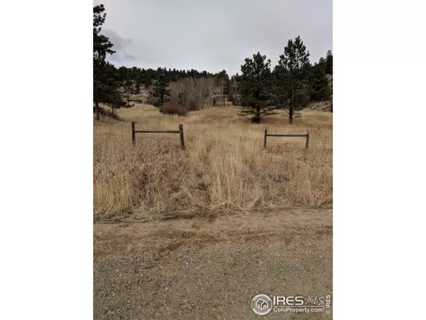 242 Horn Peak Dr, Livermore, CO 80536
