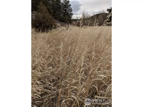 Livermore, CO 80536,242 Horn Peak Dr