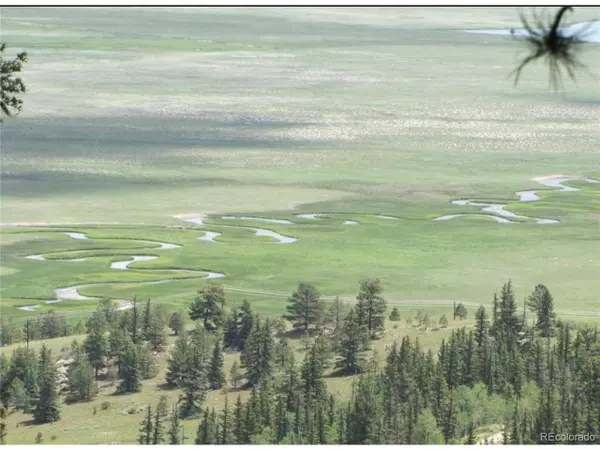 Hartsel, CO 80449,55 Spike Way