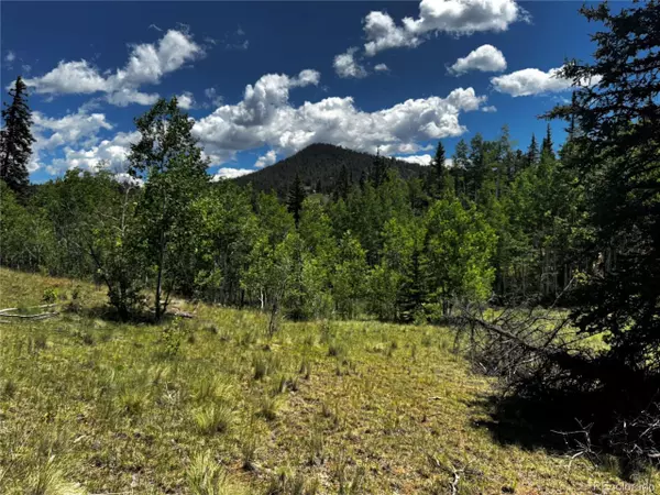 585 Haida Ln, Como, CO 80456