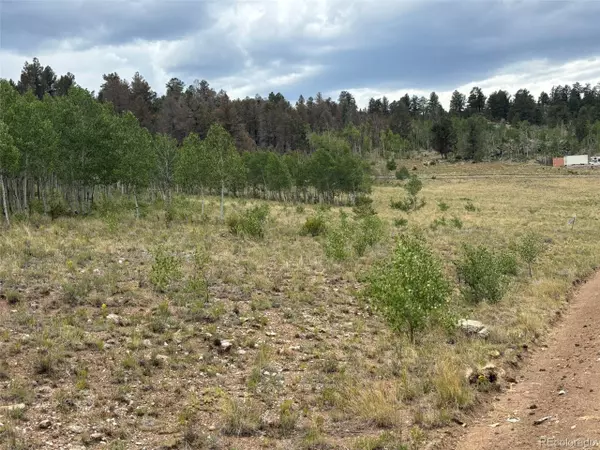 1625 Athapascan Rd,  Hartsel,  CO 80449