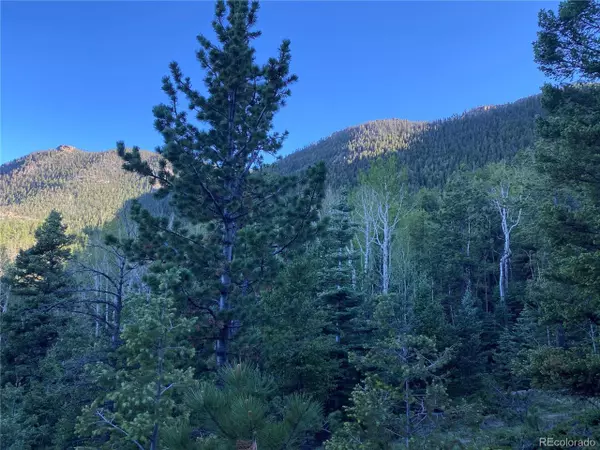 Manitou Springs, CO 80829,285 Forest Rd