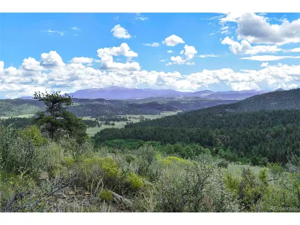 231 Deer Ln, Guffey, CO 80820