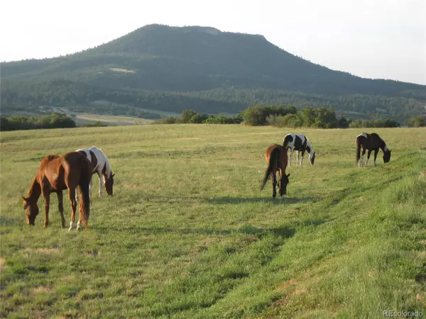 Sedalia, CO 80135,5351 Tall Horse Trl