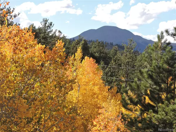 Hartsel, CO 80449,5113 Campfire Rd