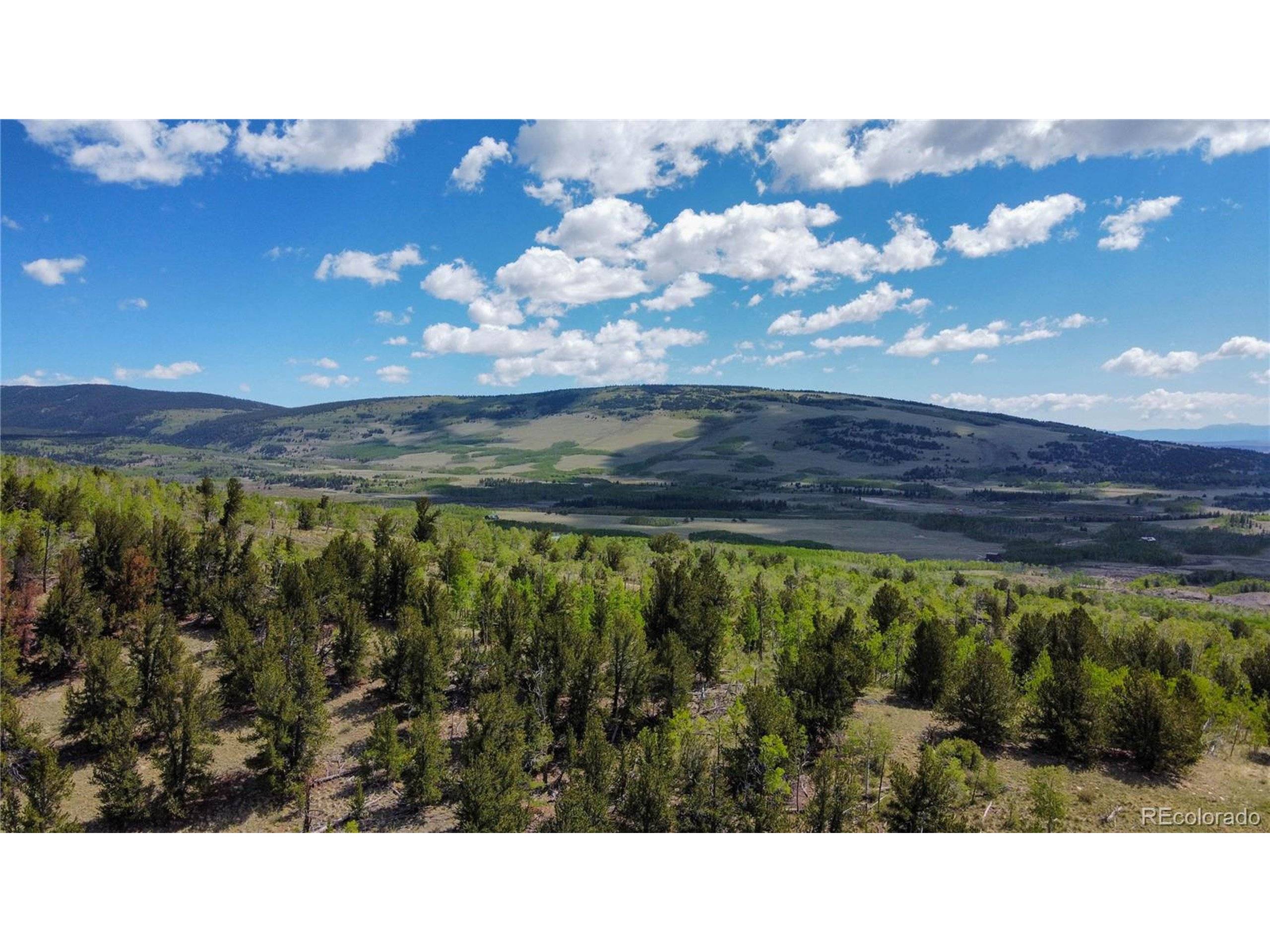 Fairplay, CO 80440,63 Pine Ridge Rd