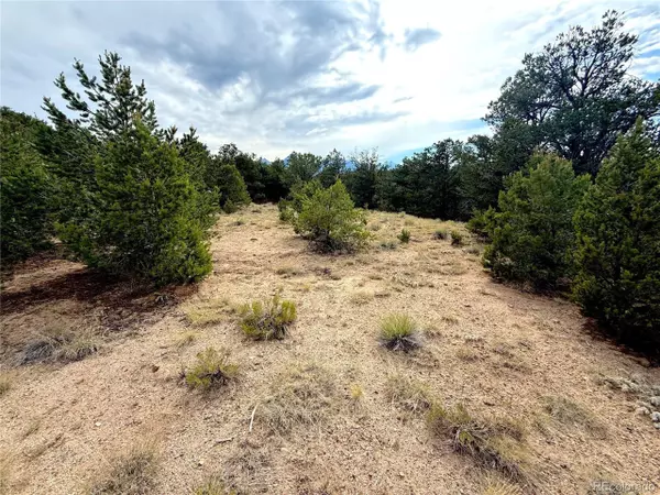 Howard, CO 81233,12590 US Highway 50