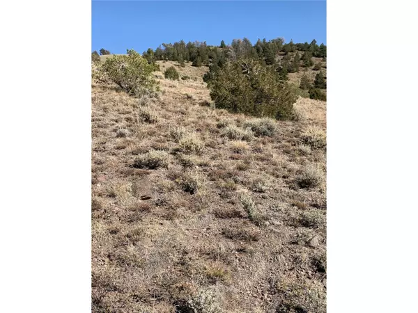 Fort Garland, CO 81133,5079 Delancey Rd