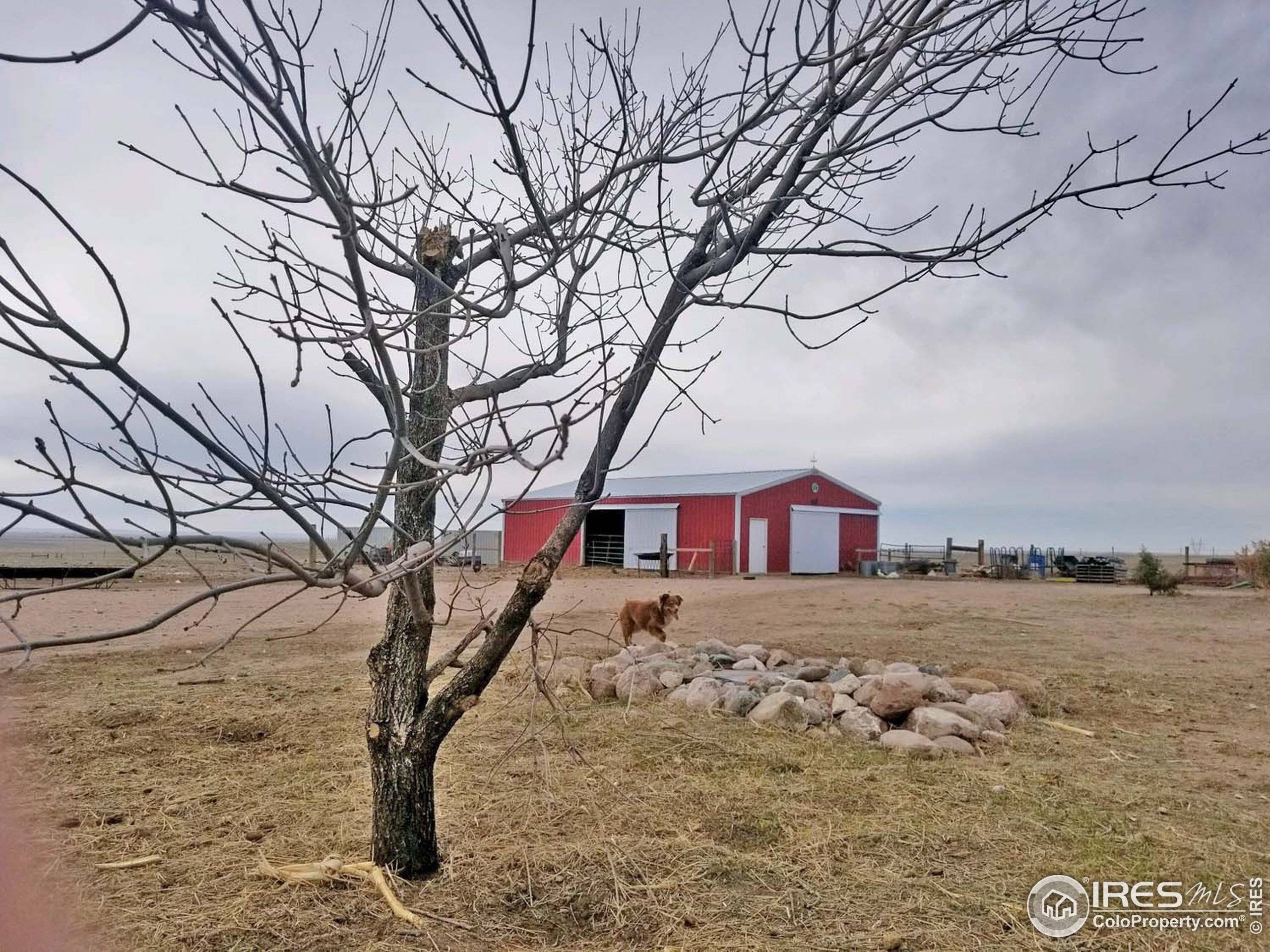 Briggsdale, CO 80611,46981 County Road 98