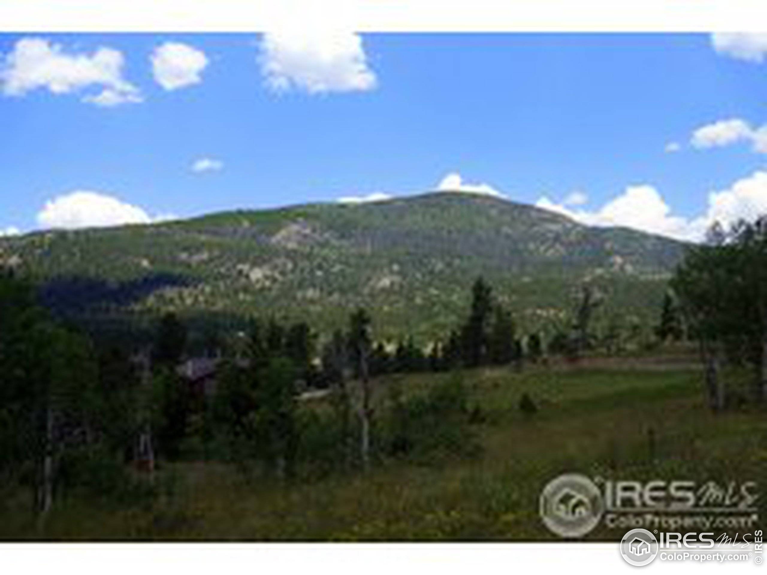 Red Feather Lakes, CO 80545,79 Tami Rd