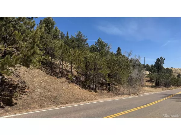 Central City, CO 80427,23 Eureka St