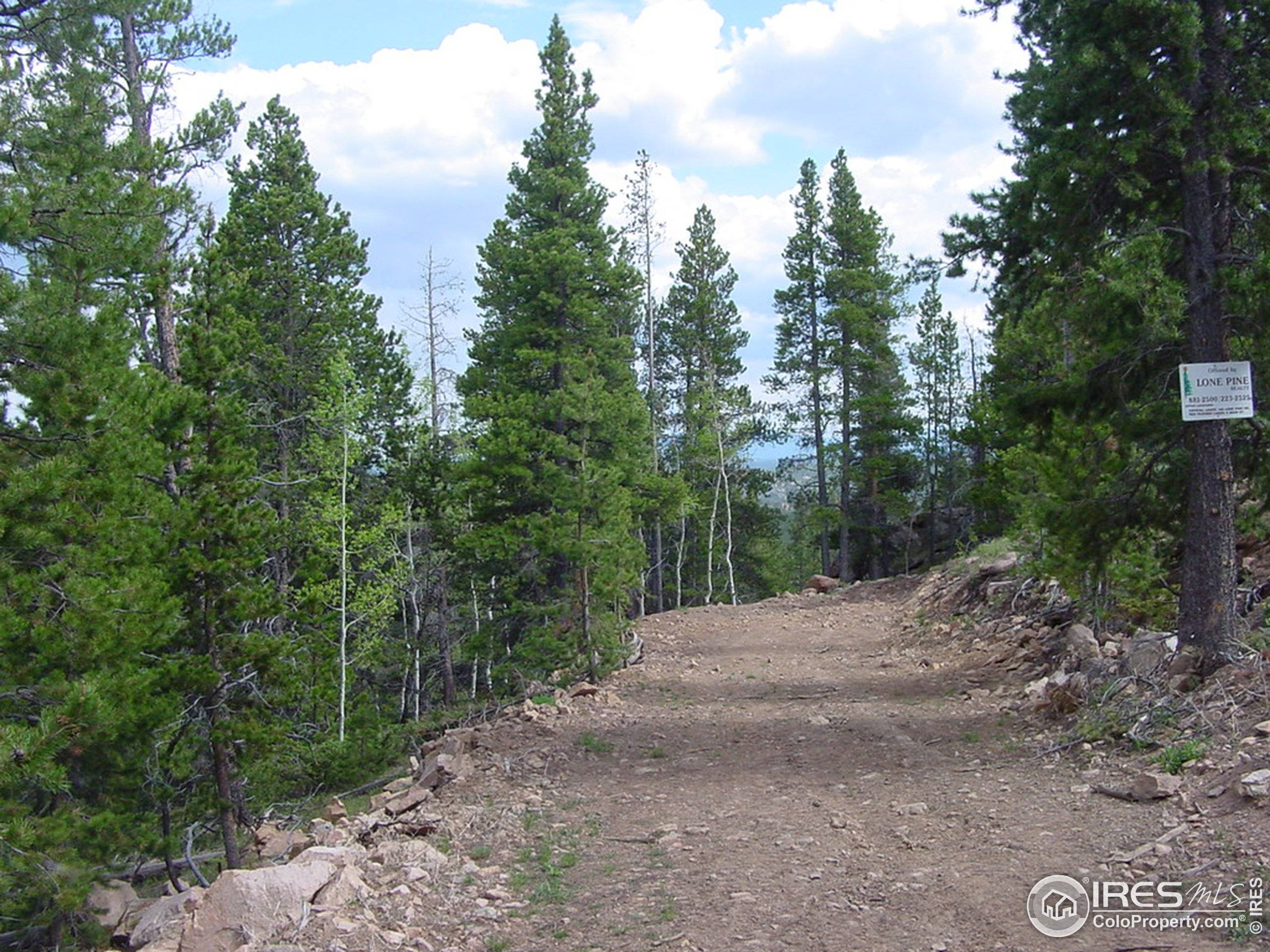 Red Feather Lakes, CO 80545,66 Dogrib Ct