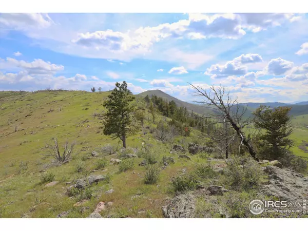 0 Mount Mahogany Ct, Livermore, CO 80536