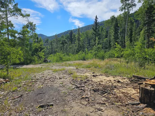 Salida, CO 81201,19039 Monarch River Dr