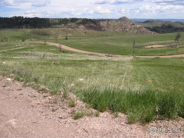 Livermore, CO 80536,64 Bobcat Mountain Ct