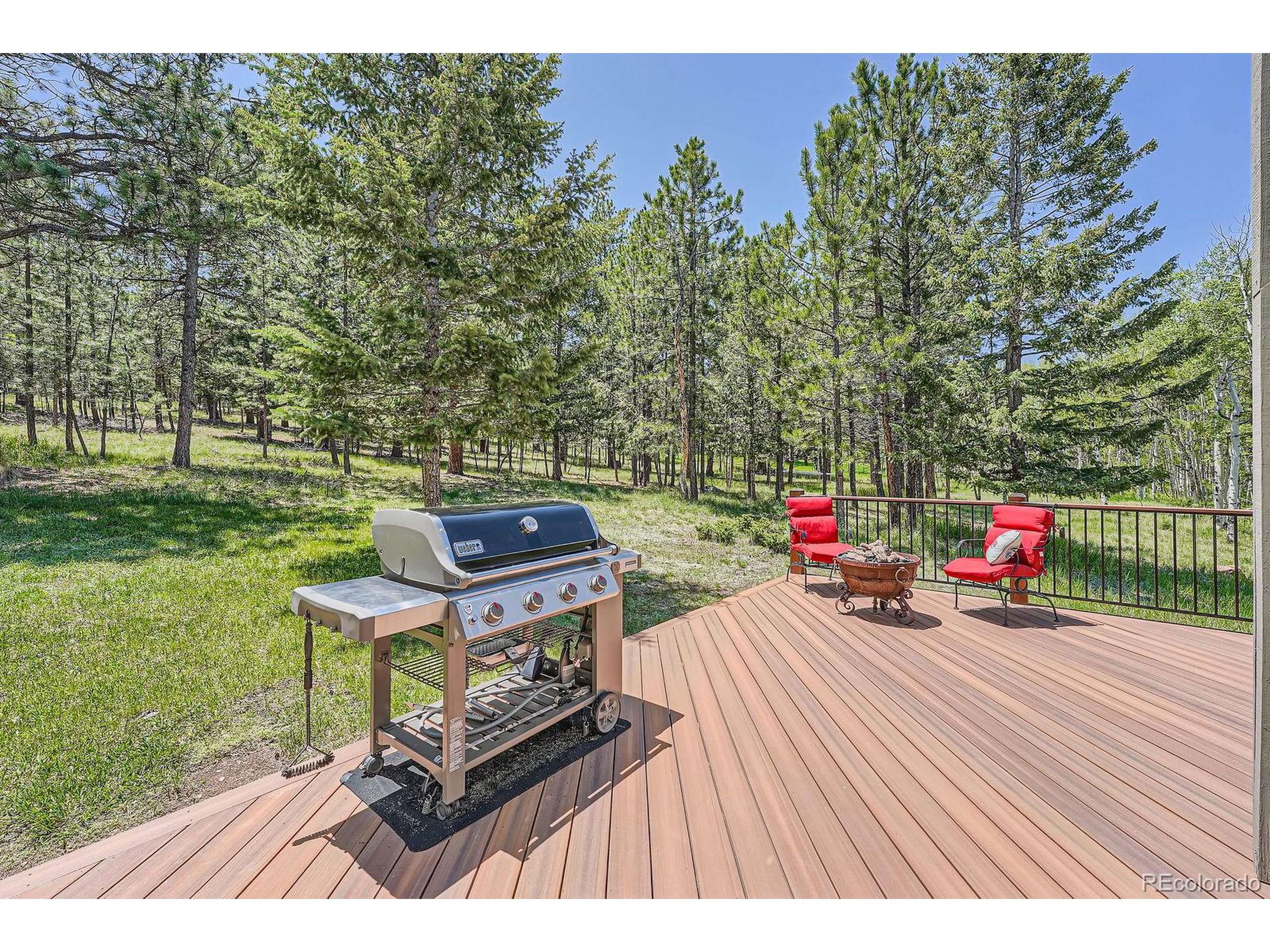 Bailey, CO 80421,33 Sparrow Ct