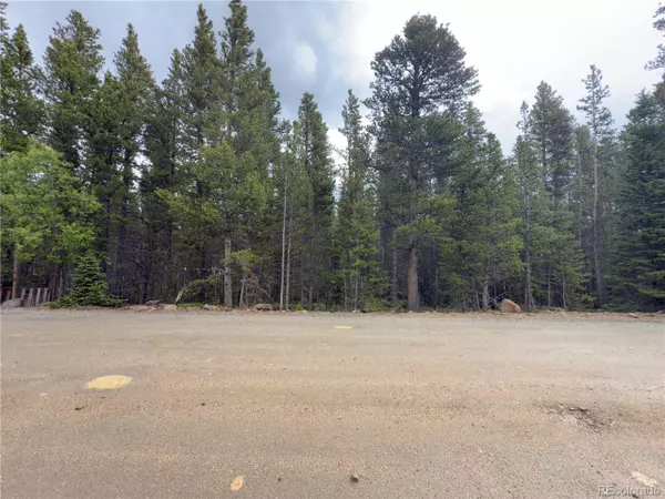 Idaho Springs, CO 80452,285 Lower Forest Rd