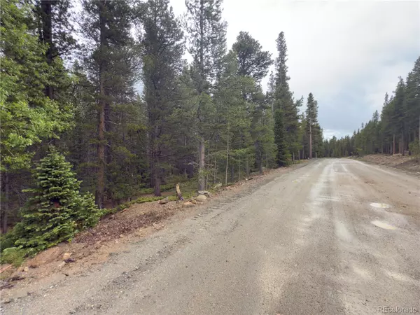 Idaho Springs, CO 80452,285 Lower Forest Rd