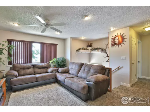 Windsor, CO 80550,807 Table Mountain Ct