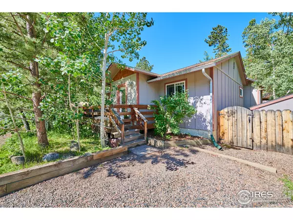 350 S Hendricks St, Nederland, CO 80466