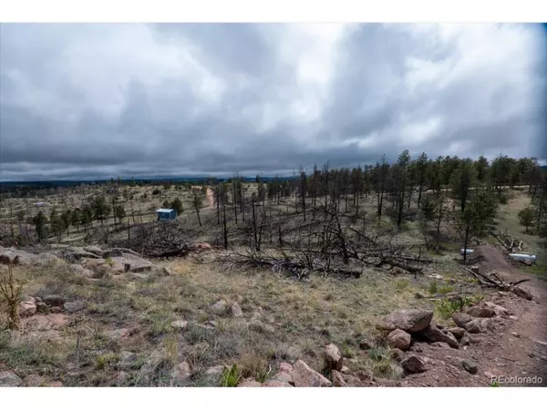 Florissant, CO 80816,144 Chapparal Trl