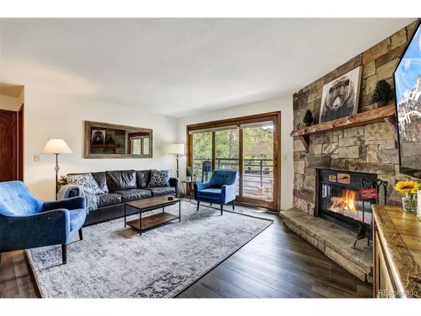 Dillon, CO 80435,23034 US Highway 6 #203