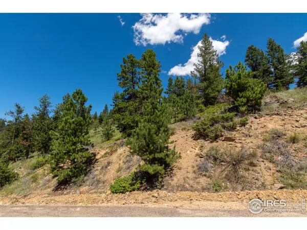 Nederland, CO 80466,112 Switzerland Trl