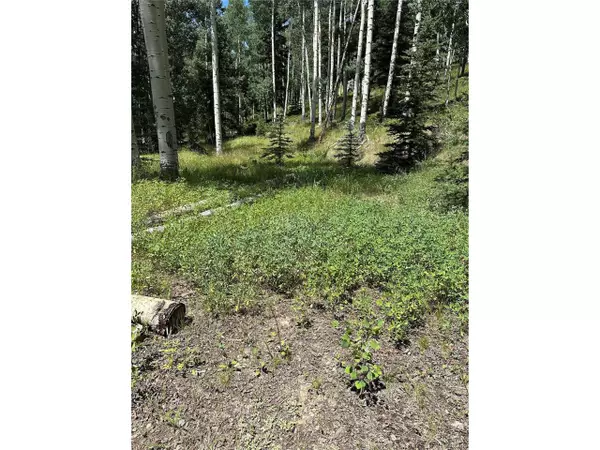 Jasper, CO 81132,7 Calkins St