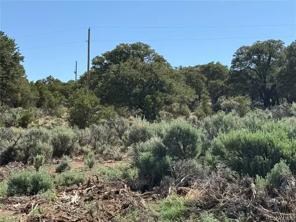 Fort Garland, CO 81133,3691 Rockwell Rd