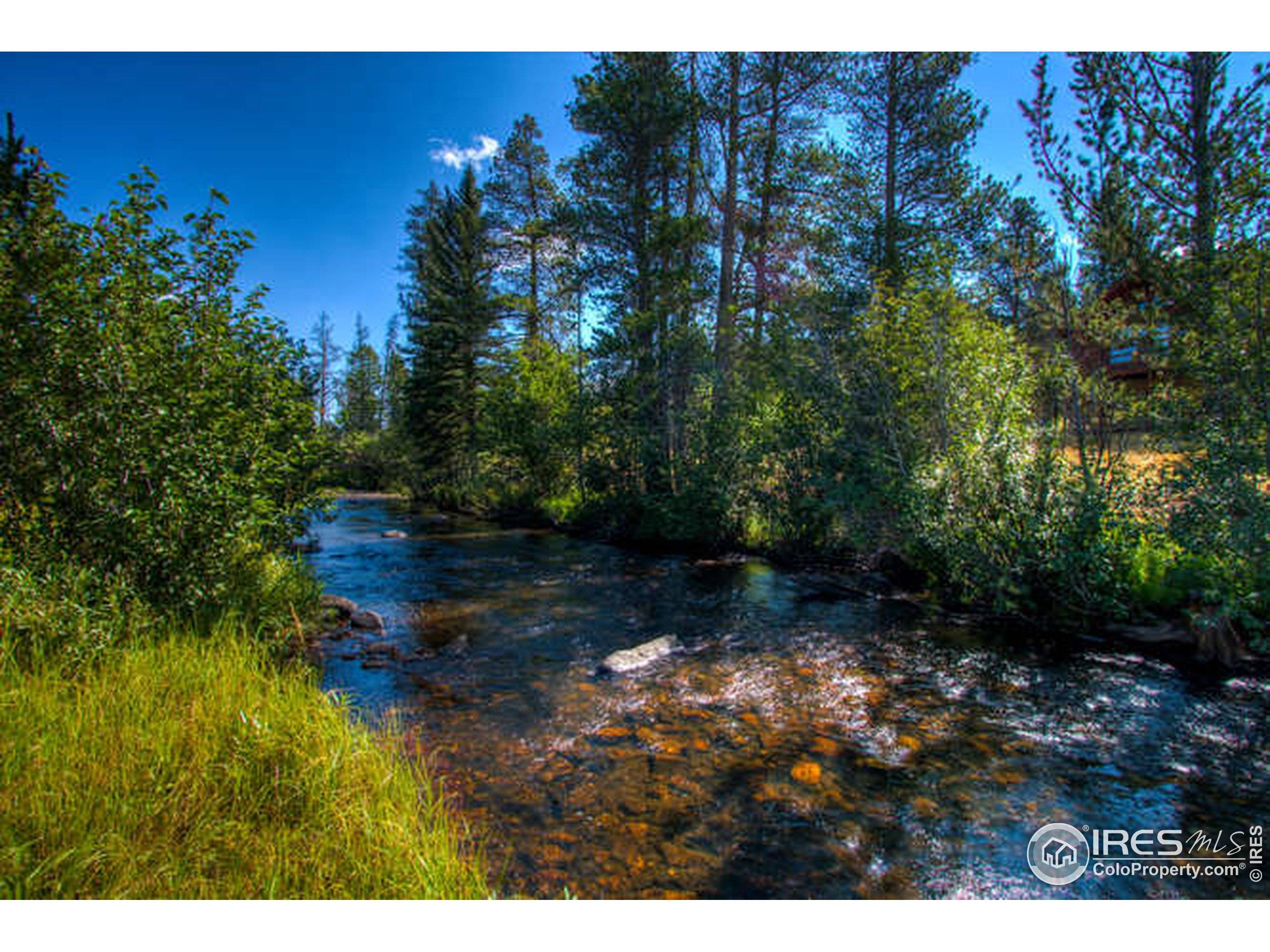 Red Feather Lakes, CO 80545,7810 Ottawa Way