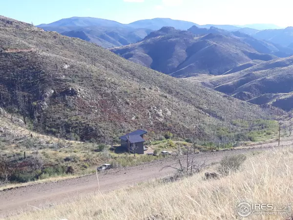 Livermore, CO 80536,1425 Horse Mountain Dr