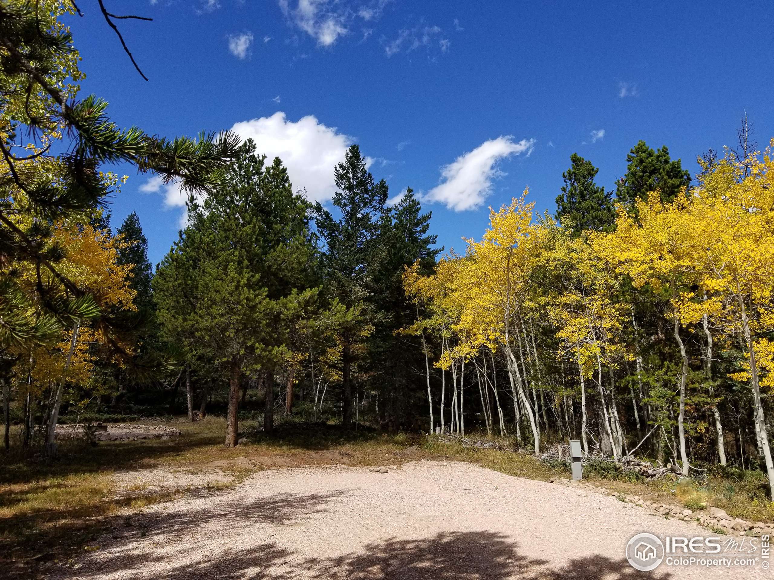 Red Feather Lakes, CO 80545,64 Nonami Ct