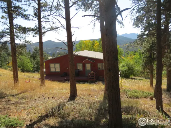 Nederland, CO 80466,50 Navajo Trl