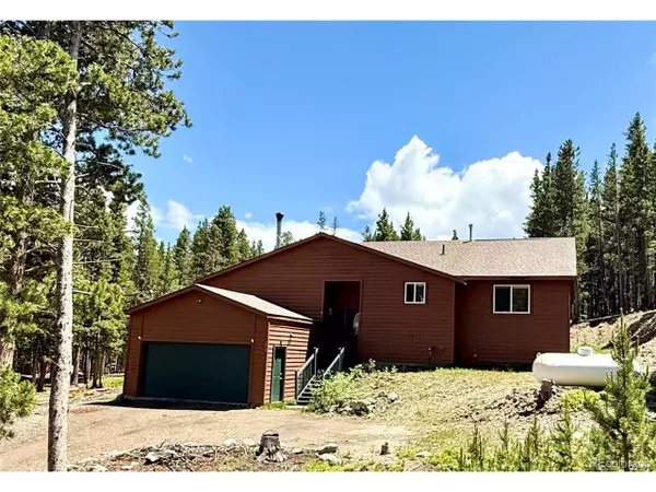 250 Upper Forest Rd, Idaho Springs, CO 80452