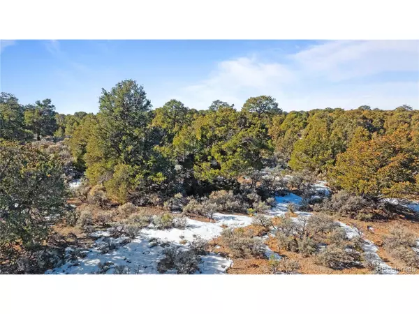 San Luis, CO 81152,90 Elk Park Rd