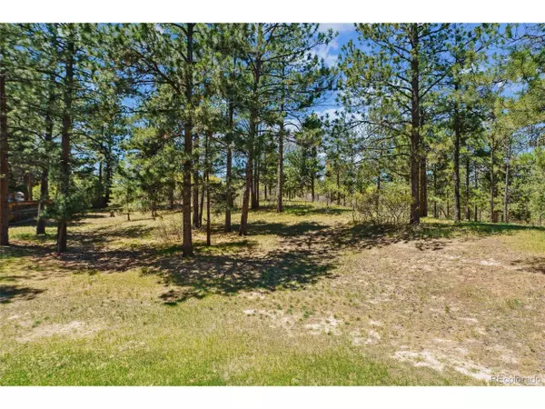 Larkspur, CO 80118,7701 Rollins Dr