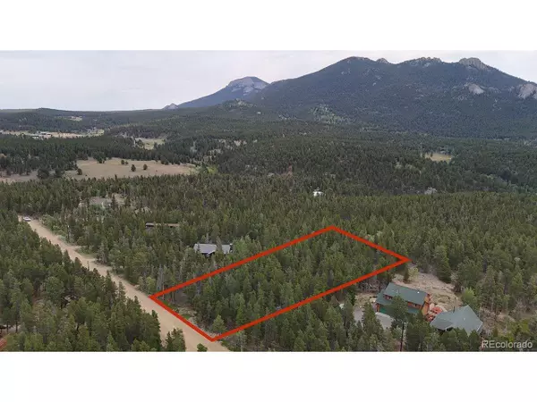 Black Hawk, CO 80422,24 Lodge Pole Dr