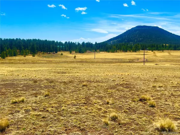 Guffey, CO 80820,90 Meadow Ln