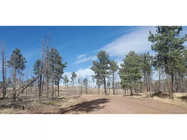 Fort Garland, CO 81133,585 Leslie Loop